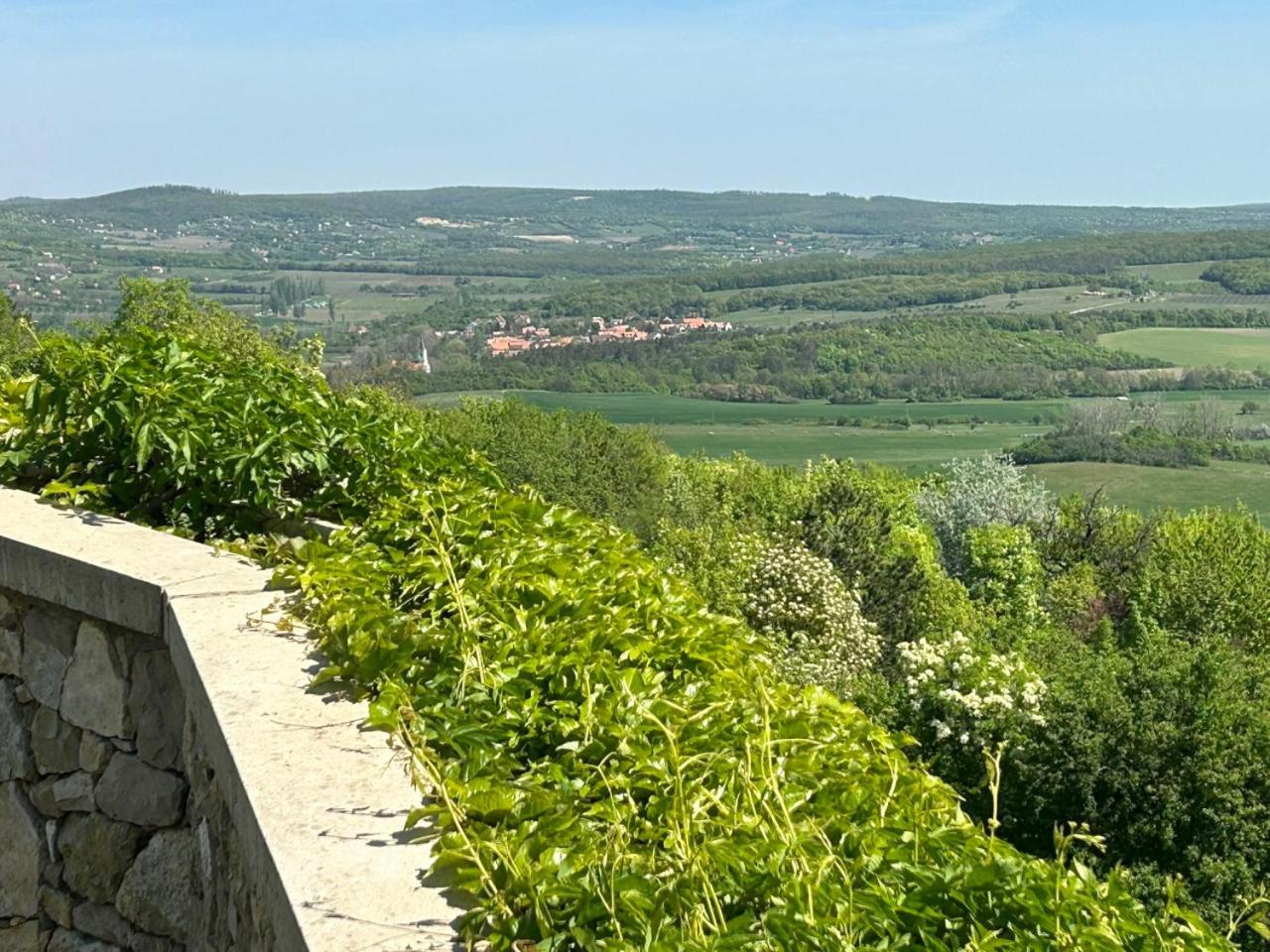 Borbora Borhaz Villa Vászoly エクステリア 写真