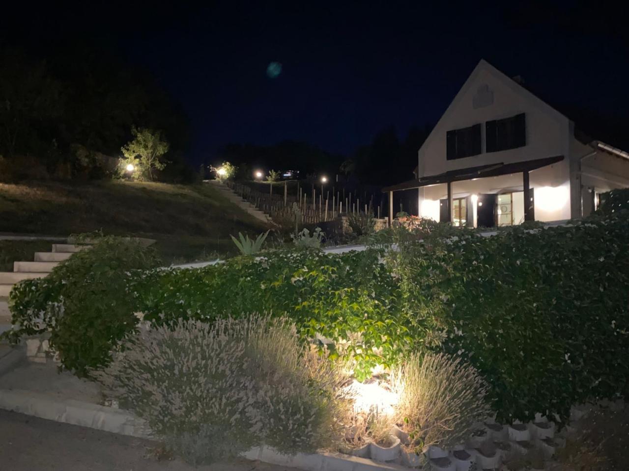 Borbora Borhaz Villa Vászoly エクステリア 写真