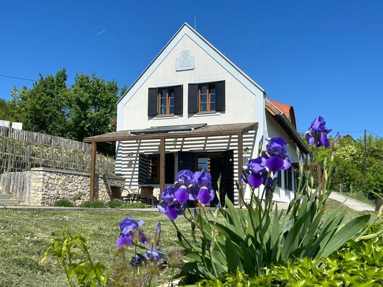 Borbora Borhaz Villa Vászoly エクステリア 写真